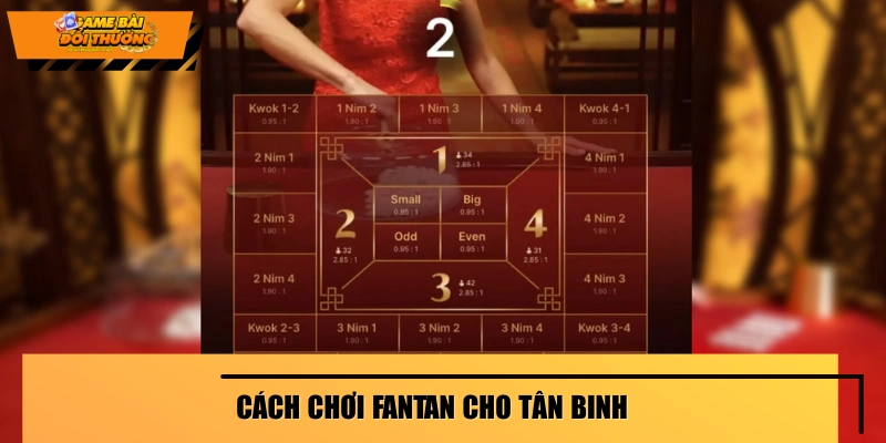 Người mới học cách chơi Fan Tan 