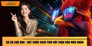 Đá Gà Cựa Dao - Đặt Cược Kịch Tính Với Trận Đấu Mãn Nhãn