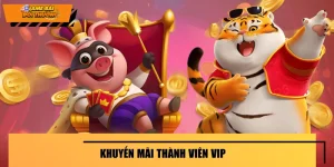 Khuyến Mãi Thành Viên VIP - Đãi Ngộ Không Dành Cho Số Đông