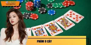 Phỏm 9 Cây - Kinh Nghiệm Cần Biết Trước Khi Vào Trận